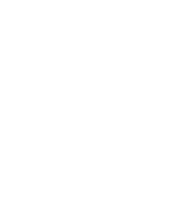 green decorations natural colours